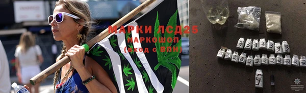 спайс Верея