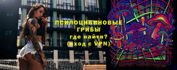спайс Верея